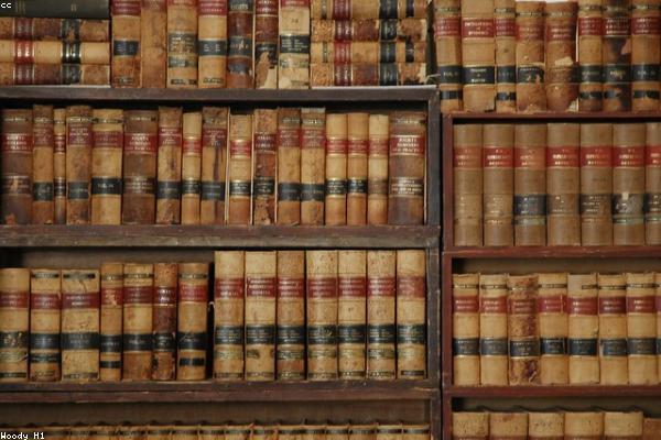 Legal analysis & opinions